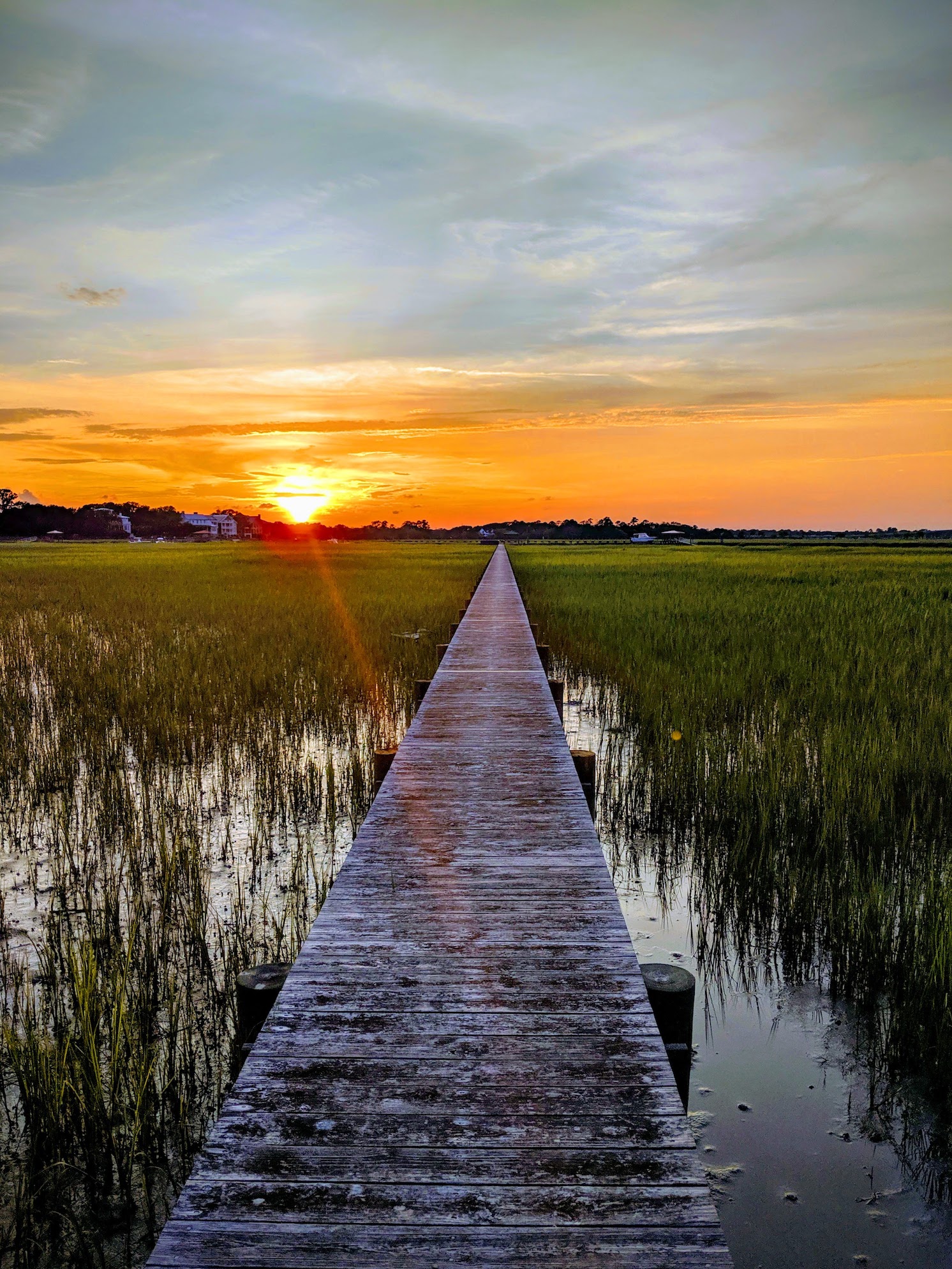 Marsh in James Island, SC